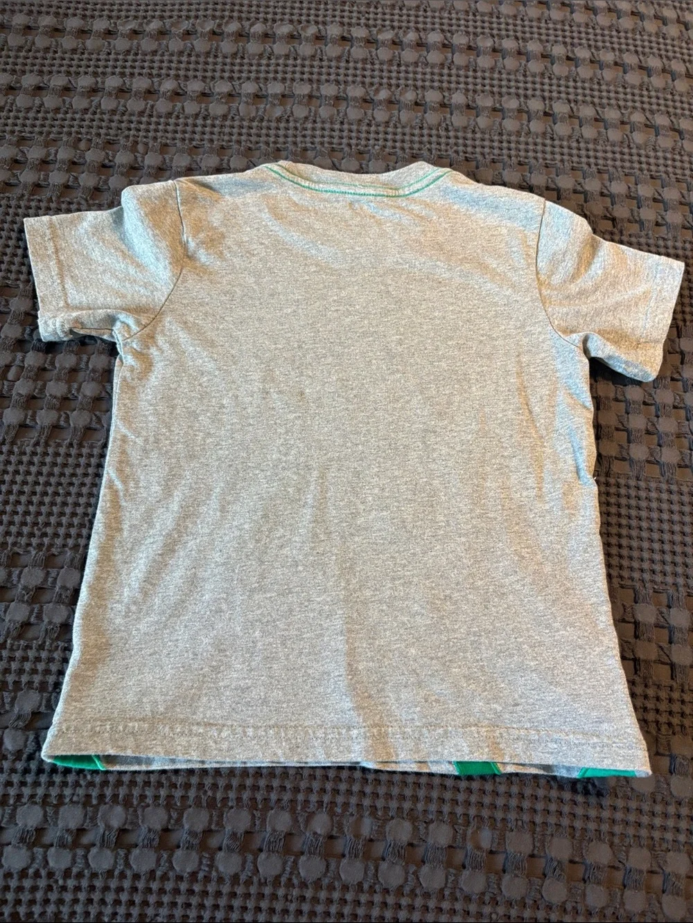 Gymboree Kids Gray T-Shirt with Green Dinosaur Graphic
